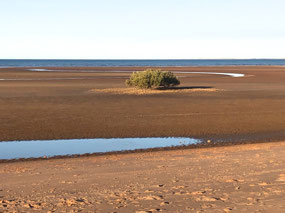 Tide out on the ocean side of the park