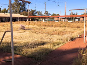 Newman Bowling green-seen better days