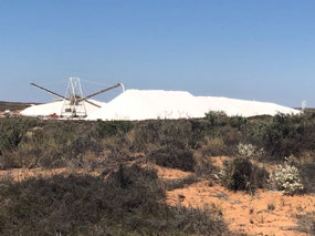 A good sized Stock pile of salt
