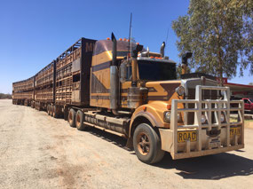 Not much room at Nanutarra with these