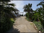 The view through the campsite down to the beach...