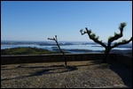 Monsaraz View