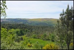 Beautiful Countryside