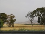 Israel landscape