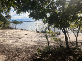 Our camp is on a beach
