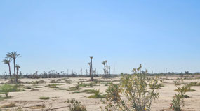 Dry areas