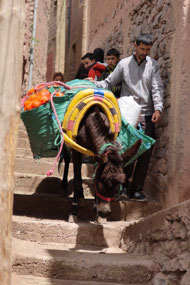 Normal transportation