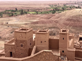 The desert landscape