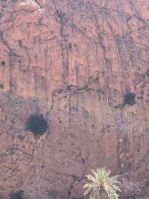Do you see the two rock climbers?