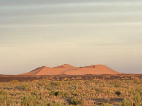 The desert dunes