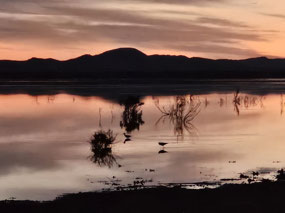 The desert lake