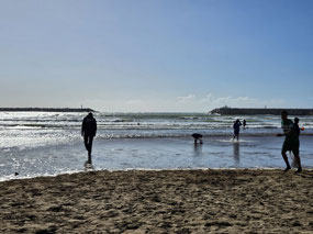 The Atlantic beach
