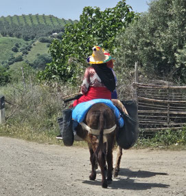 This is a very normal mode of transportation