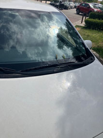 Two pieces of grass = parking paid for two days
