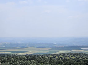 Wonderful farmland