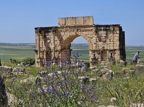 The arch of Caracalla
