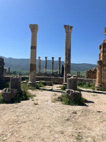 Volubilis
