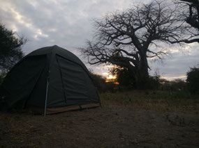 Dawn over our Tarangire camp