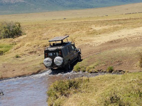 Only 4 wheel drives allowed