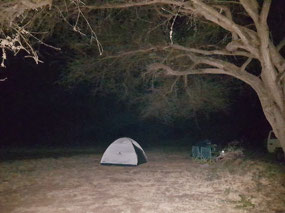 Our camp in the bush