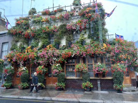 This is our last pub view on this trip!
