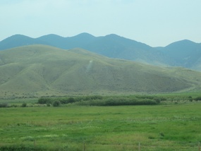 Fields along our way