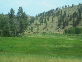 Fields and hills