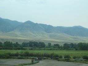 View along the road 1
