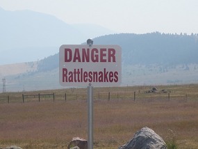 Would YOU get out of YOUR vehicle???