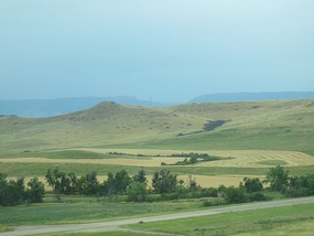 Road view 2