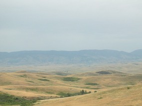 Road view 3