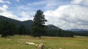 Highway 16A