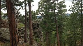 Norbeck Overlook 1