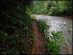 Goat track