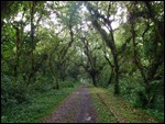 The good track