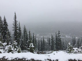Moraine Lake Road