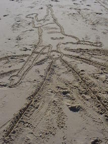 Byron and Tweed Coast (10)
