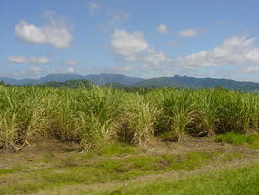 Byron and Tweed Coast (25)