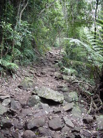 Byron and Tweed Coast (27)