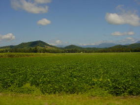 Byron and Tweed Coast (29)