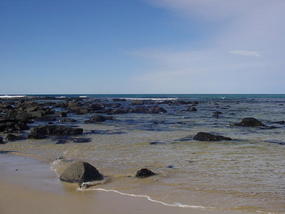 Byron and Tweed Coast (2)