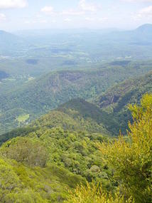 Byron and Tweed Coast (38)