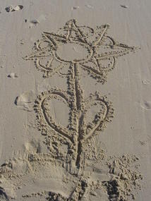 Byron and Tweed Coast (8)
