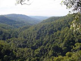 The Gold Coast - Heaven on Earth (36)