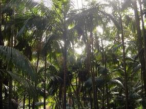 The Gold Coast - Heaven on Earth (38)