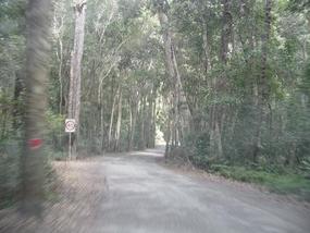 The Gold Coast - Heaven on Earth (77)