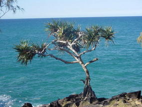 The Sunshine Coast (24)