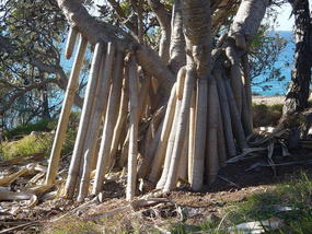 The Sunshine Coast (25)