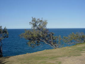 The Sunshine Coast (28)