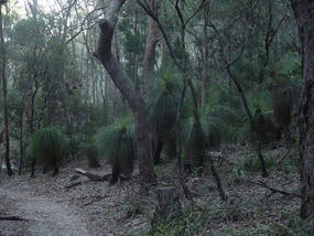 The Sunshine Coast (30)